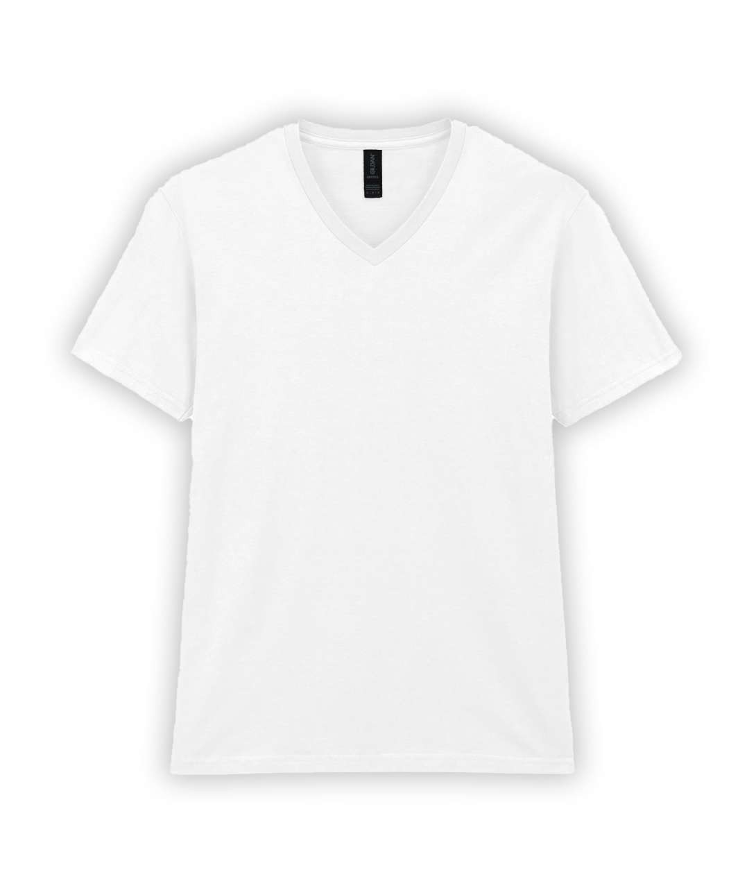 SOFTSTYLE™ ADULT V-NECK T-SHIRT