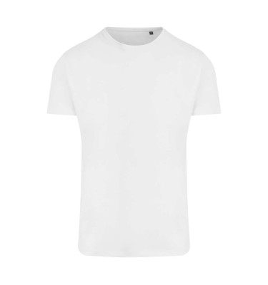 Arctic white