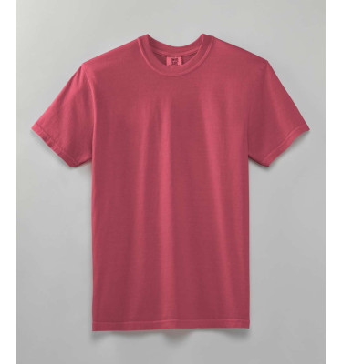 HEAVYWEIGHT ADULT TEE