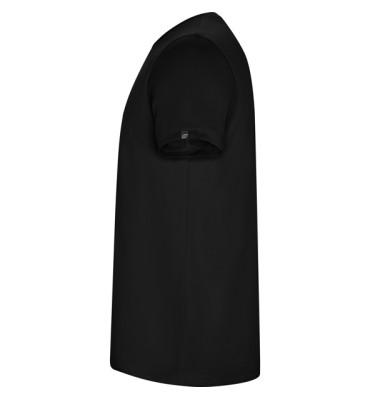 IMOLA