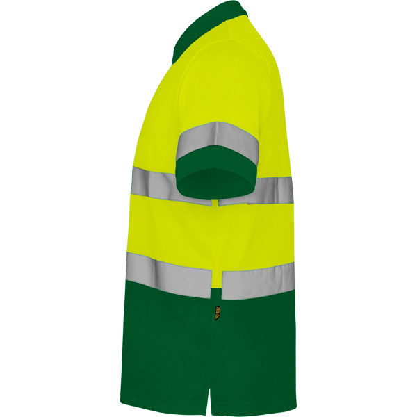 POLARIS