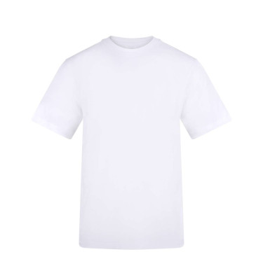 Arctic white