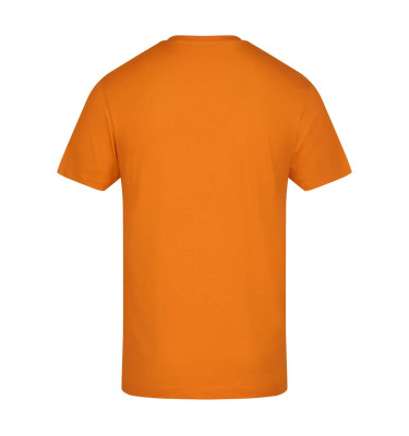 AWDIS 180 T