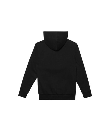ELEMENT HOODIE