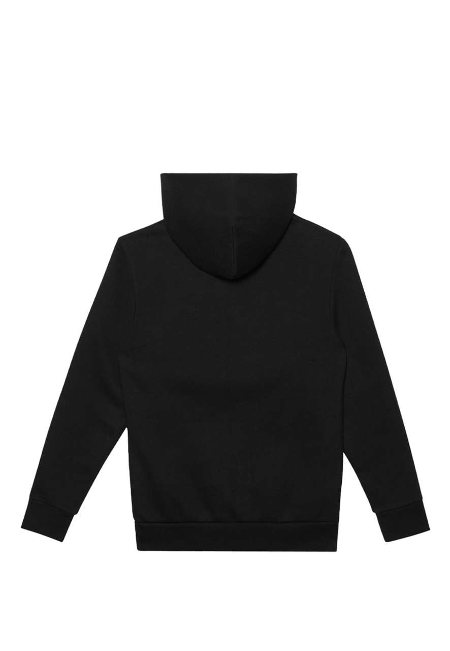 ELEMENT HOODIE
