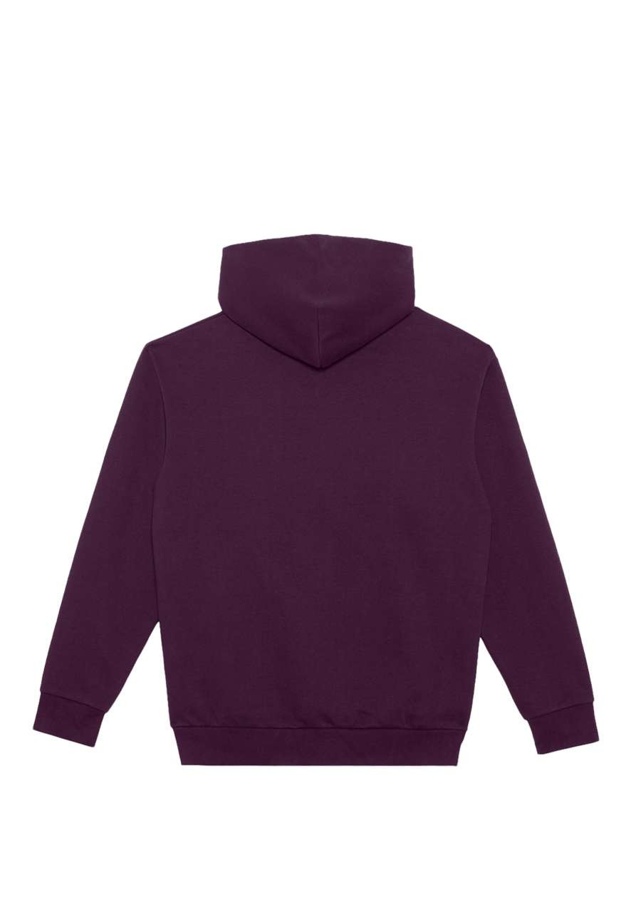 ELEMENT HOODIE