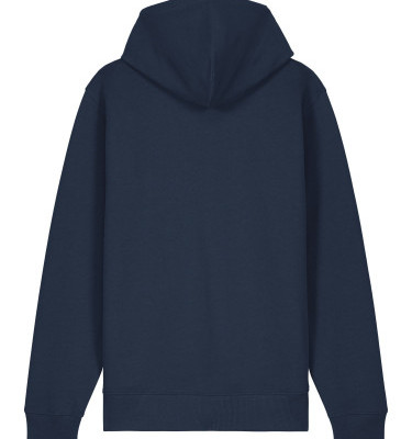 French navy