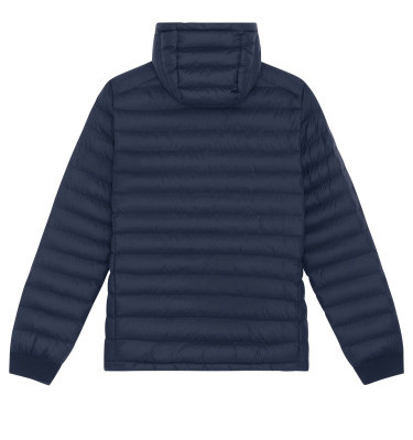 French navy
