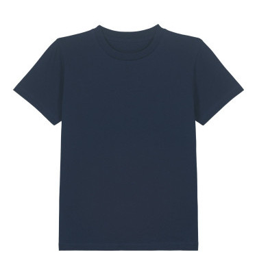 French navy