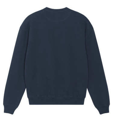 French navy