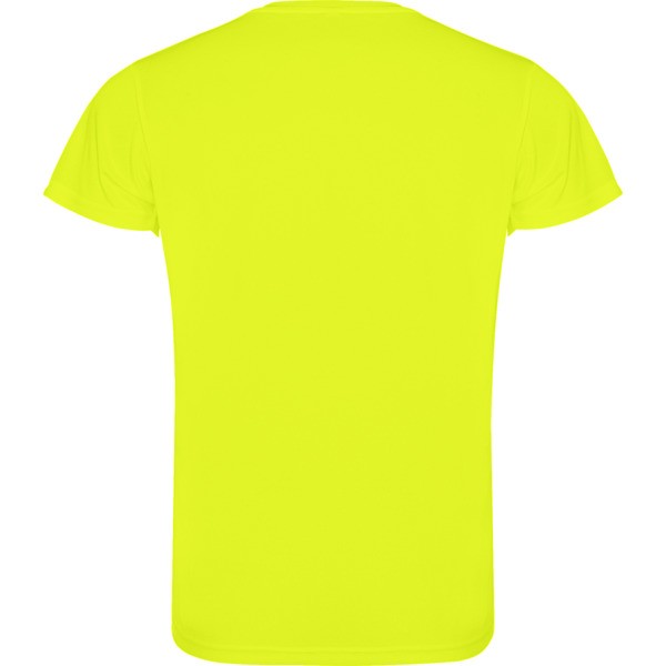 CAMIMERA