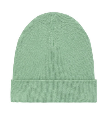 Dusty mint