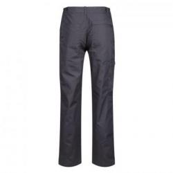 Męskie spodnie robocze Regatta Professional NEW ACTION regular-Dark Grey